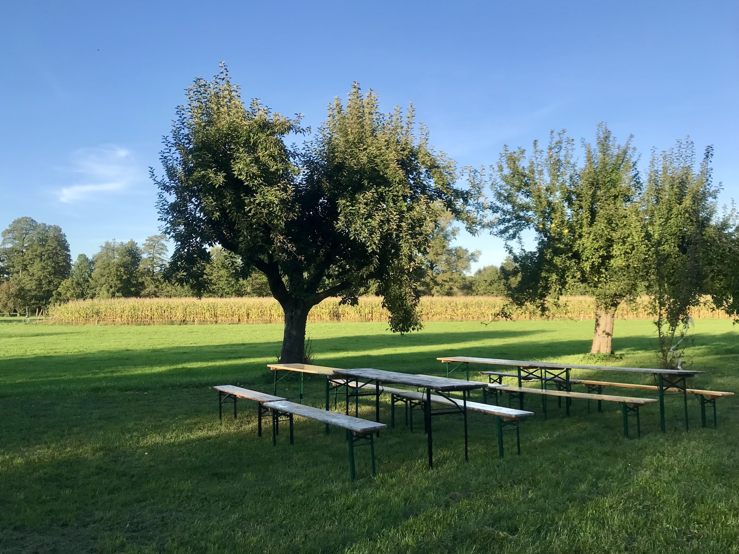 Das EDE Jugendhaus im Spreewald